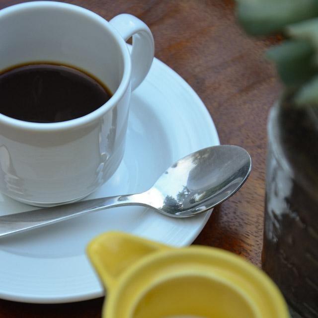 Taller: los 5 aspectos para un buen café dominicano - Gente de la Isla