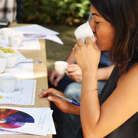 Taller y cata: Introducción al café dominicano de especialidad - Gente de la Isla